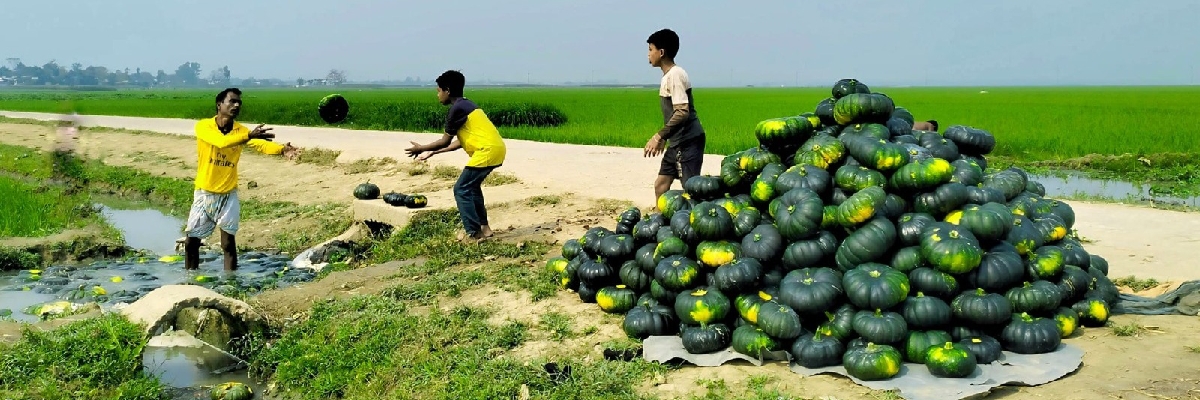 আমাদের হাওর